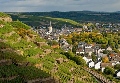 Treasures of the Rhine Valley Tours
