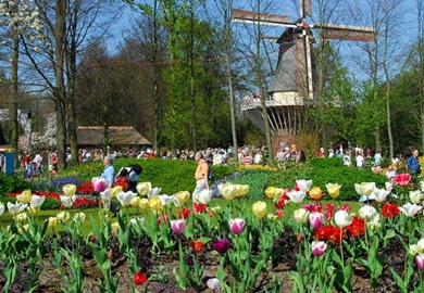 Spectacular Springtime in Amsterdam