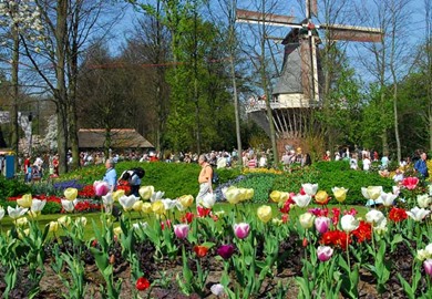 Spectacular Springtime in Amsterdam