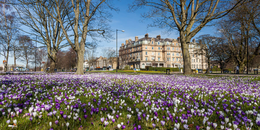 Harrogate