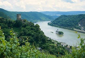 Rhine Gorge