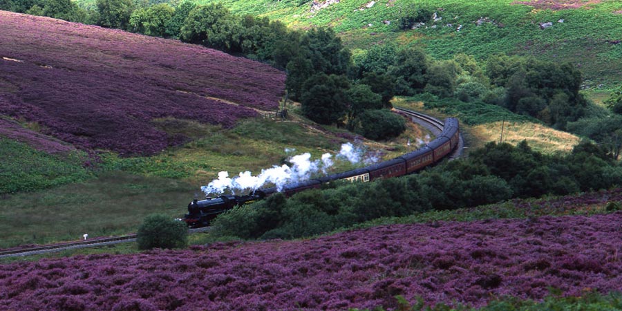 North yorkshire moors railway