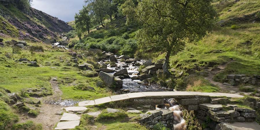 Bronte Waterfalls