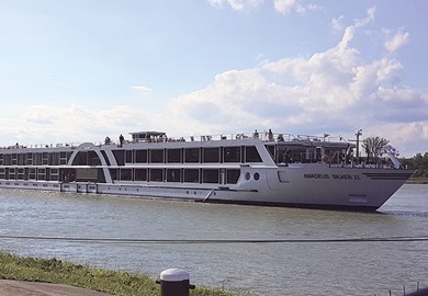 The Majestic Rhine