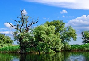 Danube Delta