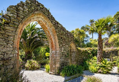 Tresco Abbey Gardens Tresco Abbey Gardens