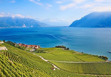 Lake Geneva and Rhine Cruise